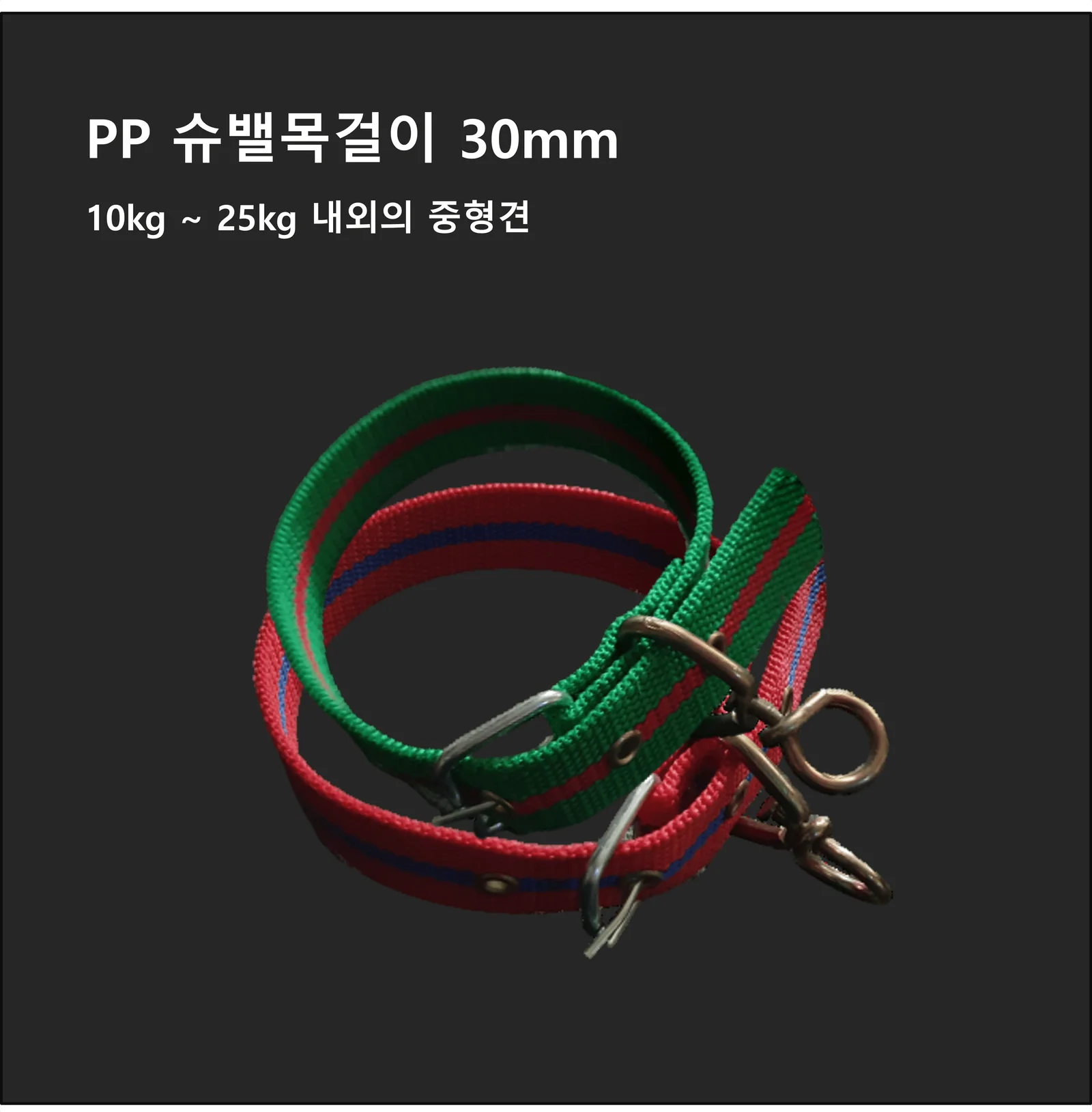 PP 강아지 목줄 슈벨 특대 30mm 그린 상세3