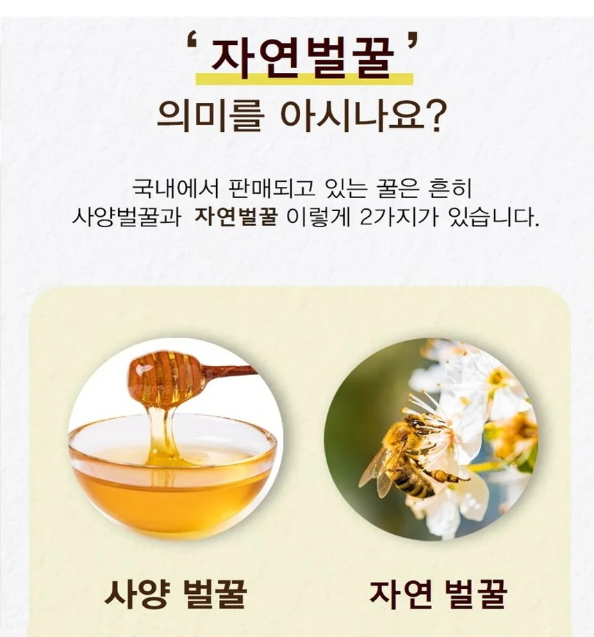 벌꿀 베트남 자연산 500g 야생화 자연산벌꿀 100% 상세2