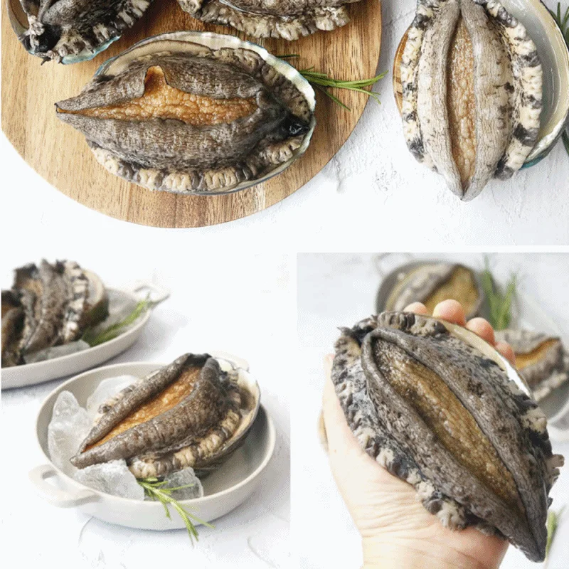 완도 활 전복 대왕 특대 6미 내외 1kg 선물포장 abalone 상세2