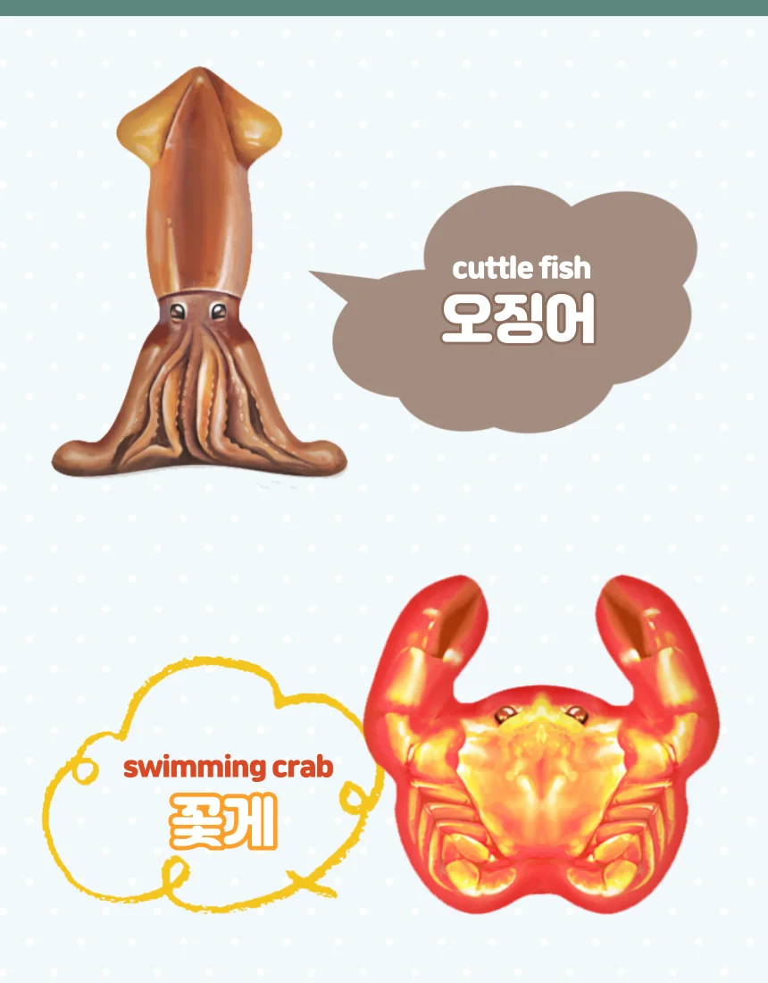 낚시놀이 낚시대 물고기세트 상세4