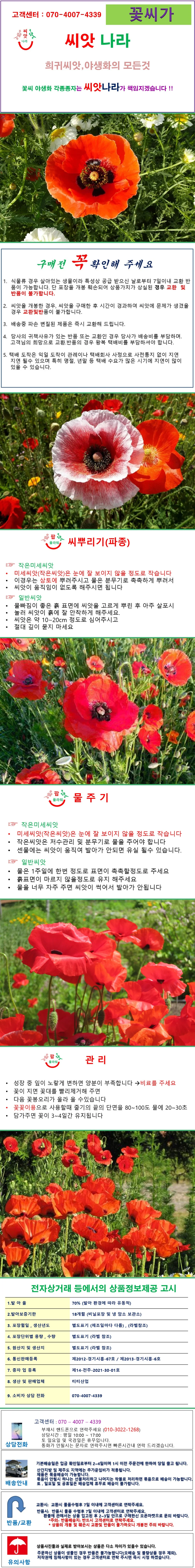 오리엔탈포피숙근꽃양귀비 혼합색 씨앗 25립 상세1