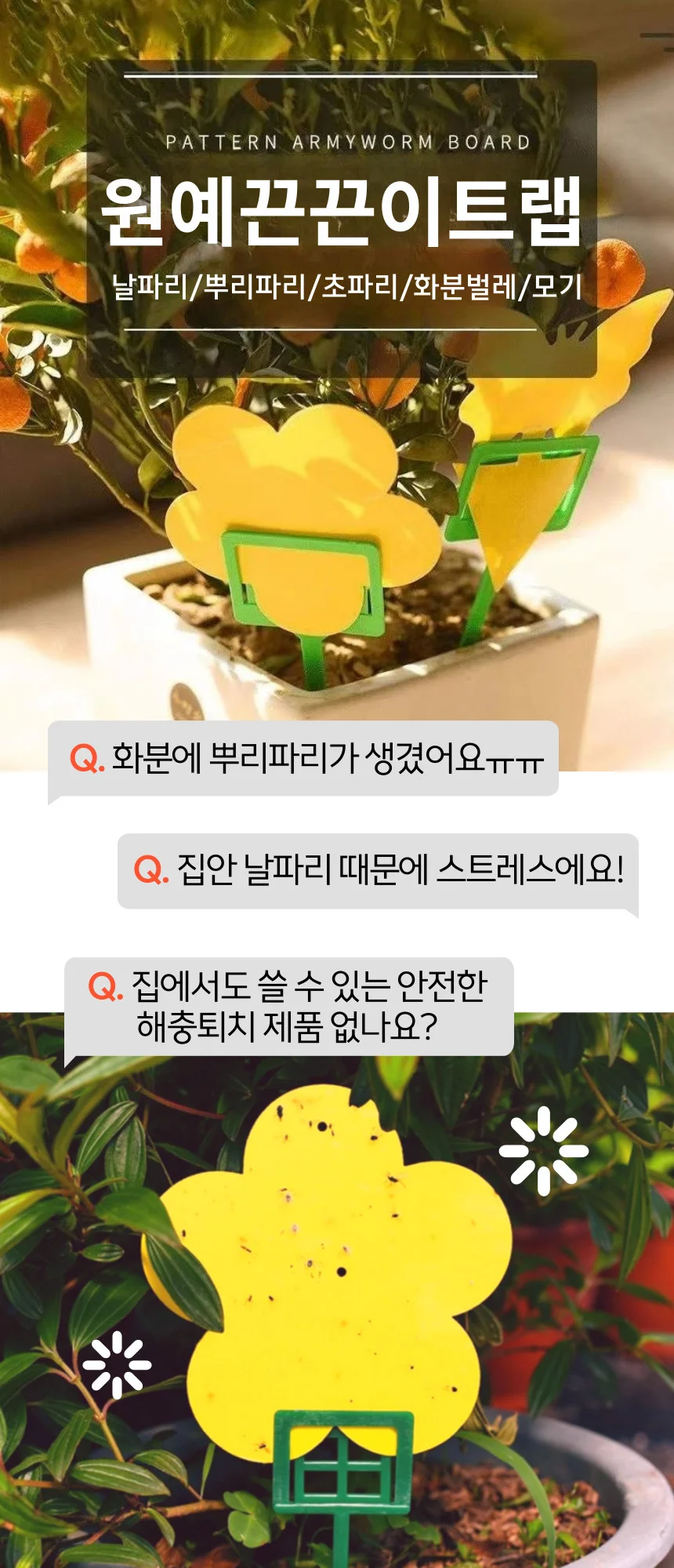 뿌리파리 파리 날파리 초파리 화분 끈끈이트랩 상세1