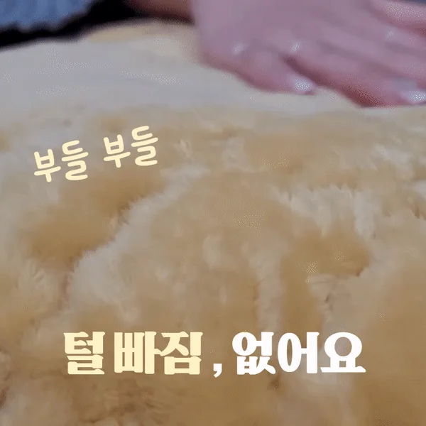 머스타드 단독 카페트 Q 상세5