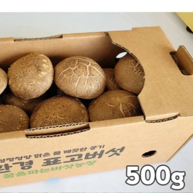 버섯 국산 표고 친 환 경 명품 생표고 1kg