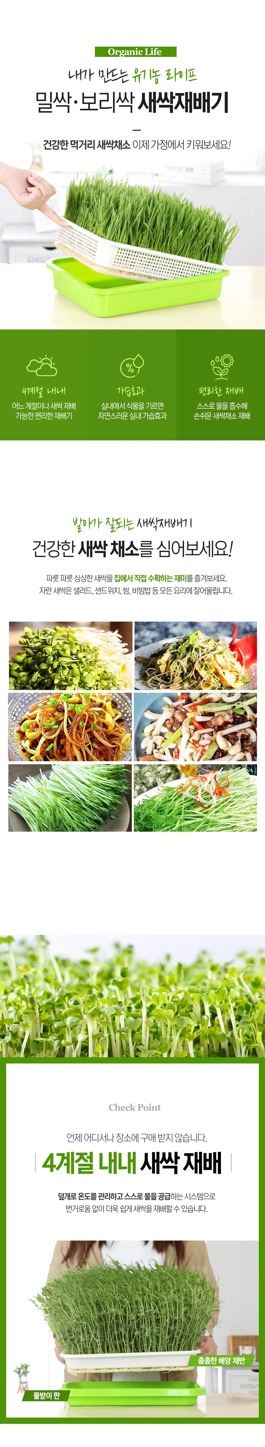 홈가드닝 새싹보리 재배기 밀싹 보리싹 수경 채소 상세1