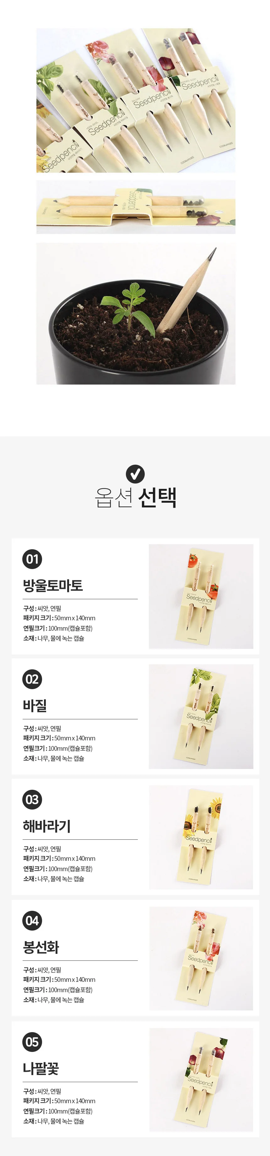 몽당 씨앗 연필 식물 화분 키우기 키트 단체 선물 상세3