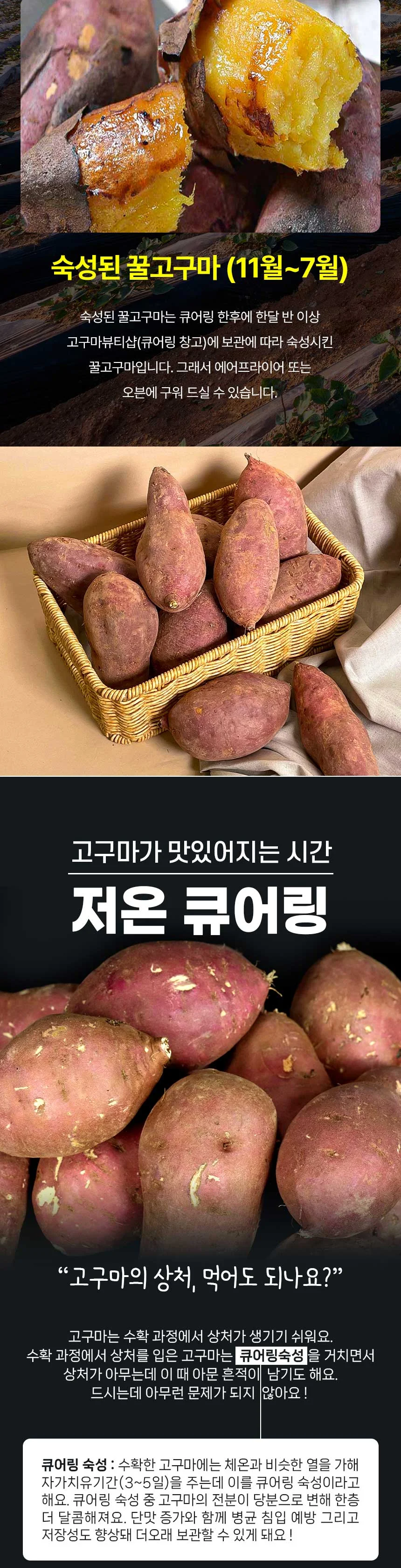 해남 저온큐어링 고당도 세척 꿀고구마 5kg 대 상세2