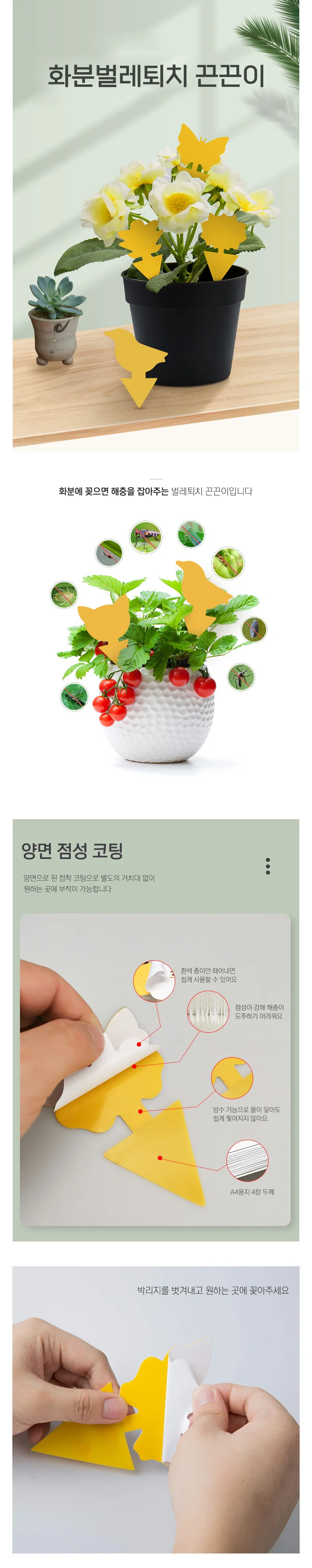 식물 벌레 화분 퇴치 진딧물 총채 흰솜 깍지 살충 상세1