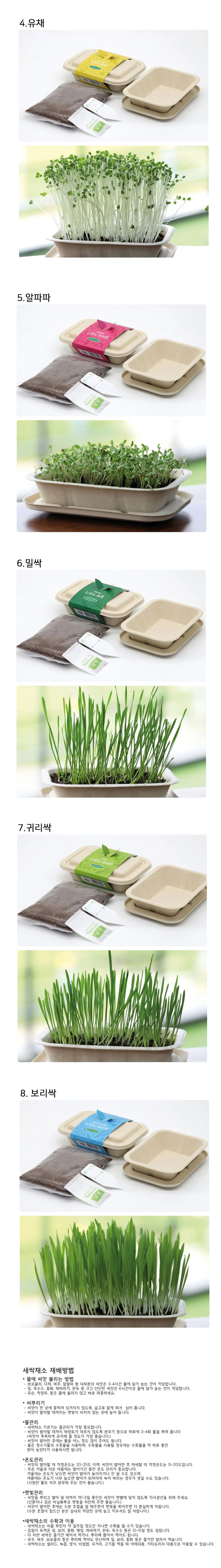 식물 무순 미니 실내 심기 재배 교구 모종 인테리어 키우기 상세2
