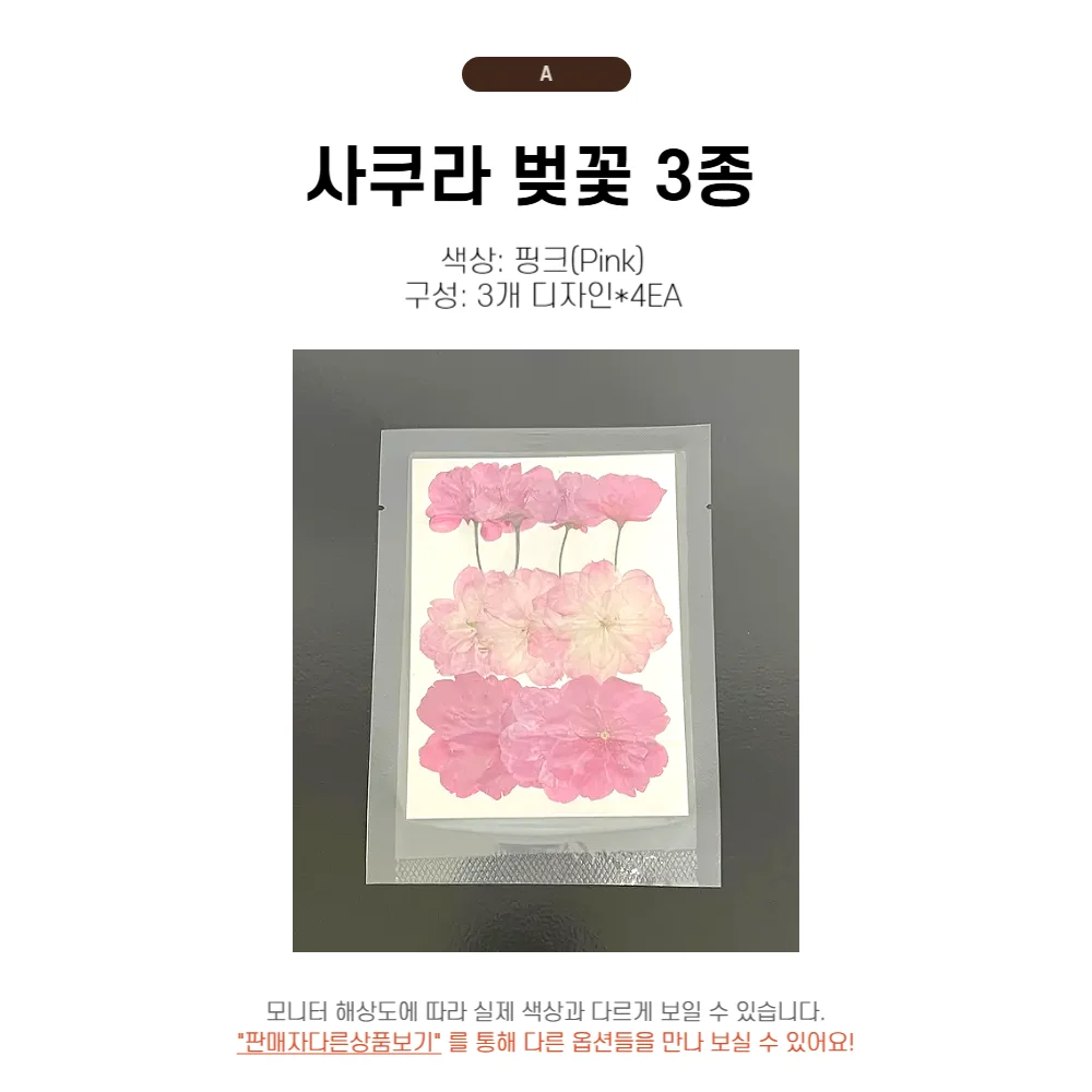 공예 드라이플라워 압화 (핑크제비꽃) 상세2