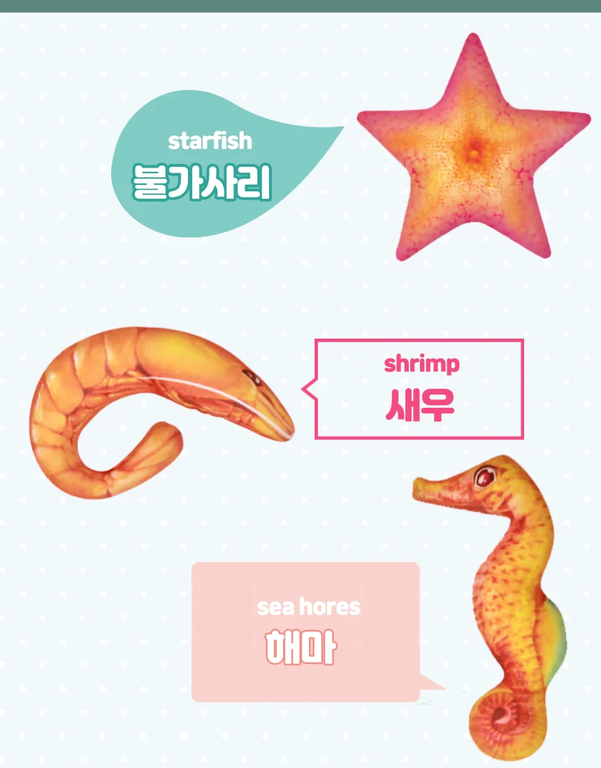 낚시놀이 낚시대 물고기세트 상세5