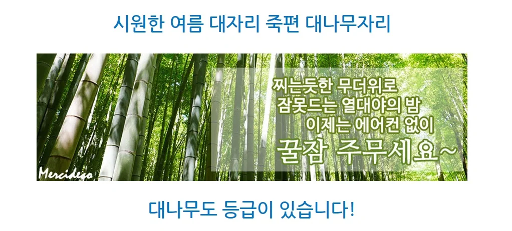 대나무 자리 시원한 여름 거실 카페트 마루 더블 대자리 대나무자리 싱글 상세1