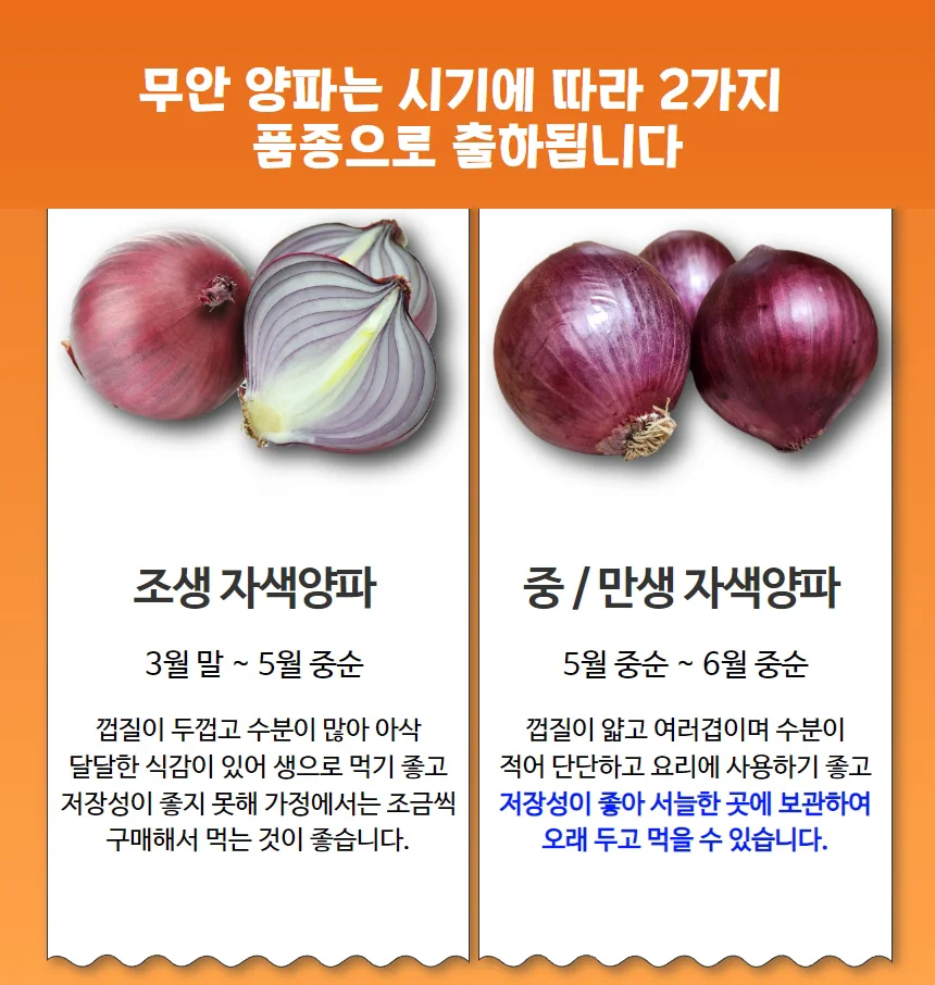 전남 무안 황토골 자색양파 소미니혼합 3kg 상세3
