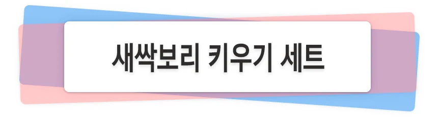 새싹보리 키우기 키트 재배기 - 국내산 상세1