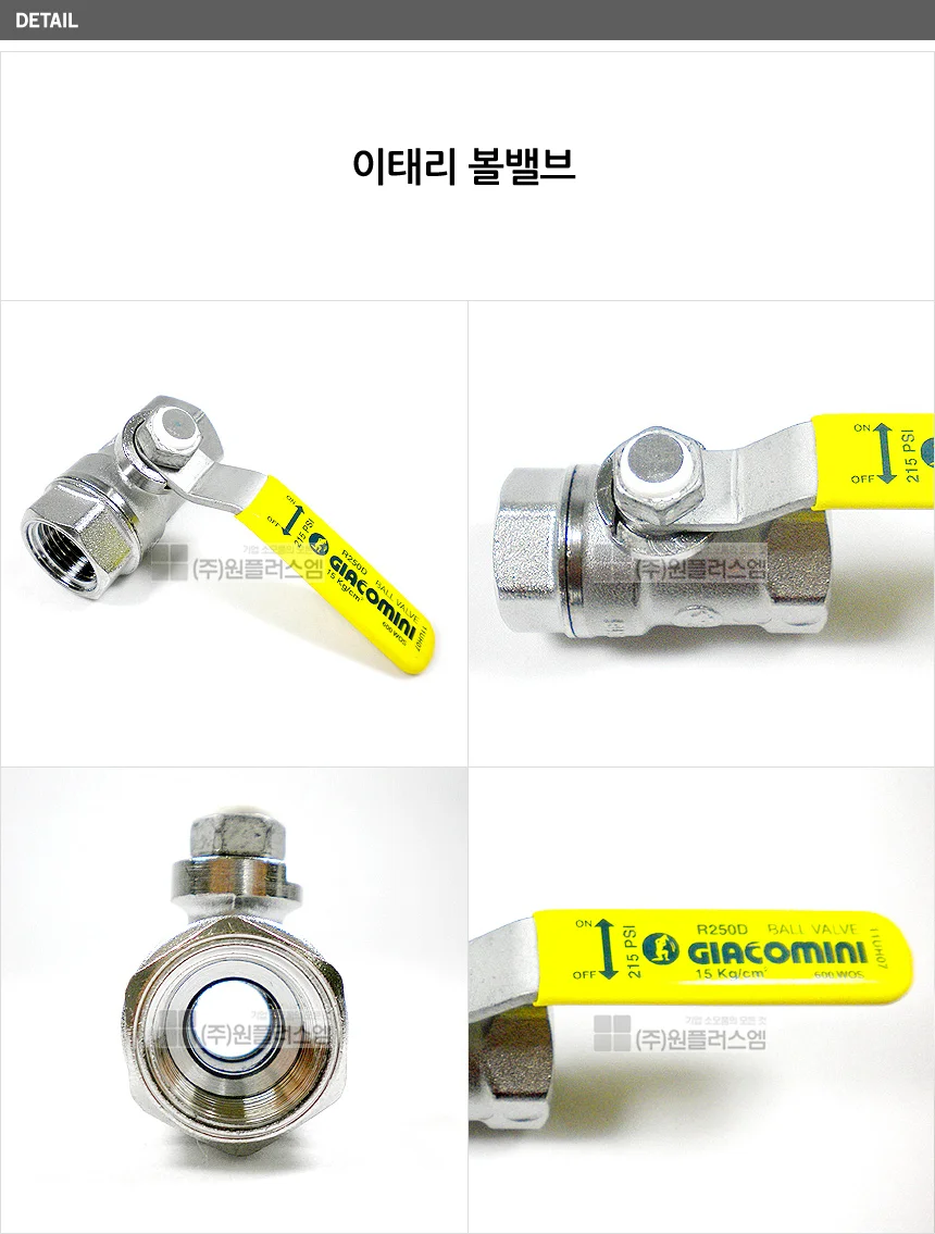 이태리 지아코민 스팀밸브 고온밸브 65A 상세2
