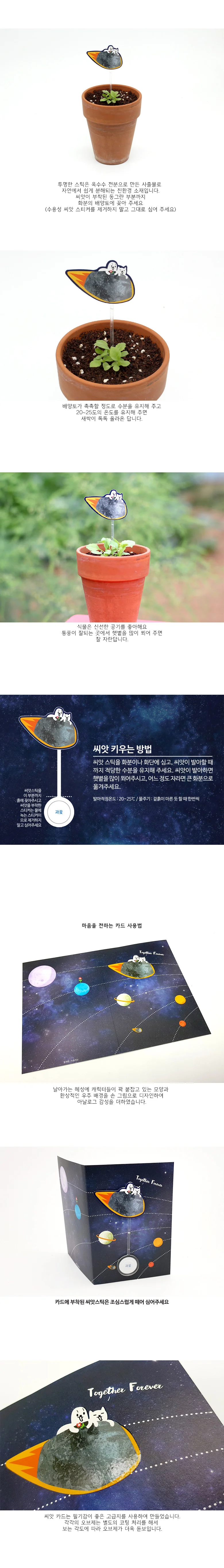 과꽃 키우기 세트 반려식물 재배 화분 씨앗카드 상세2