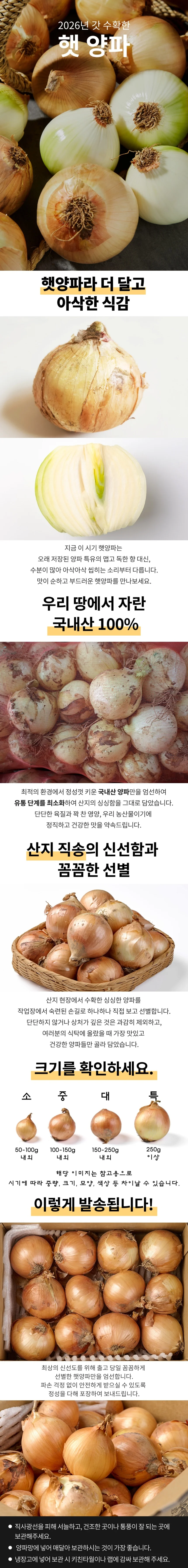 국내산 양파 5kg 소 상세1