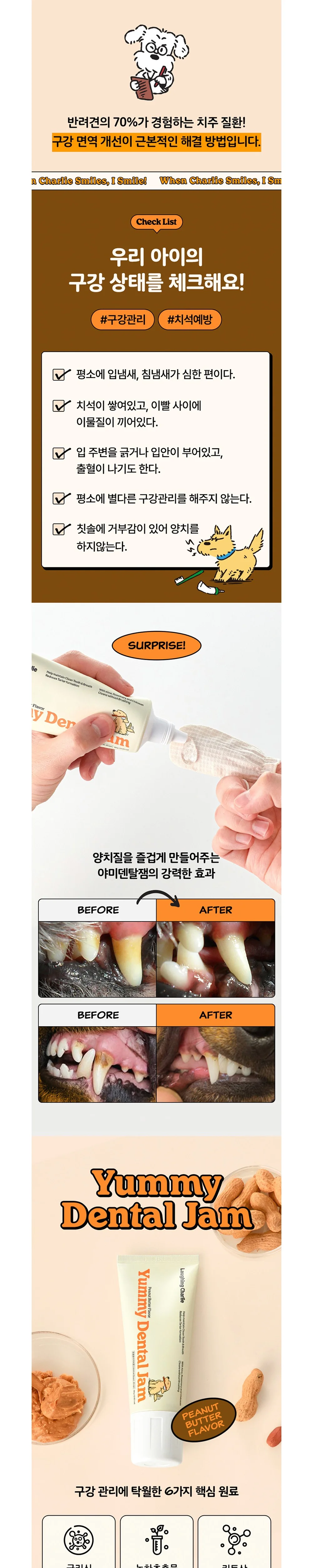 래핑찰리 야미덴탈잼치약80g 피넛버터향 상세2