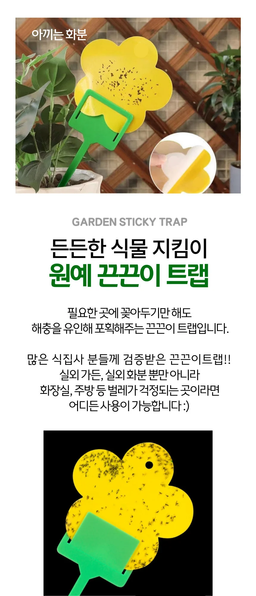 뿌리파리 파리 날파리 초파리 화분 끈끈이트랩 상세3