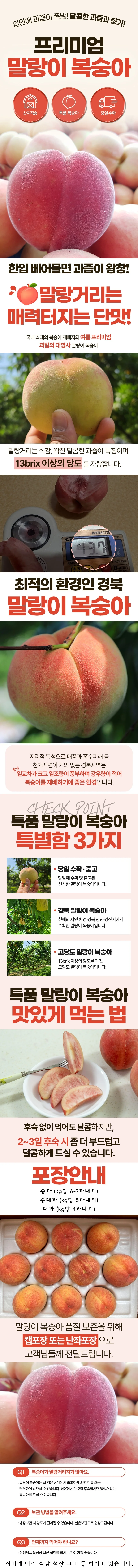 황도 말랑이 복숭아 중과 2kg 상세1