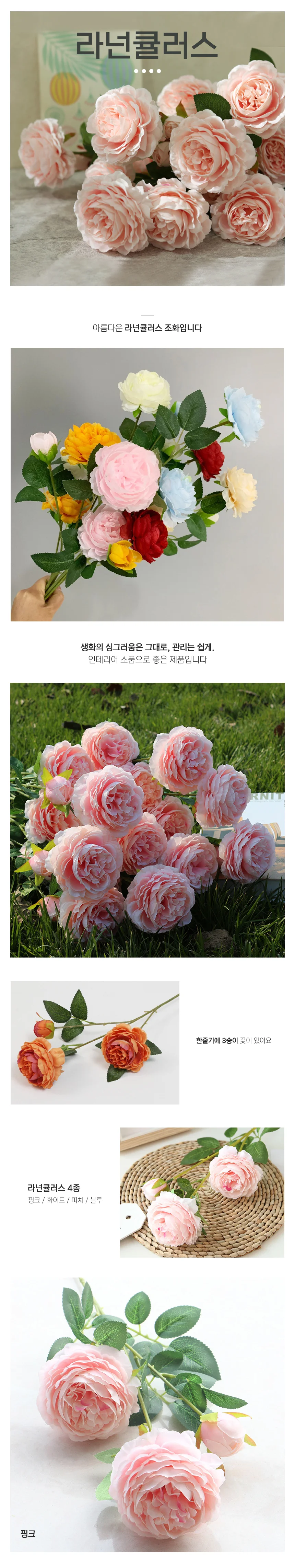 라넌큘러스 러넌큘러스 화분 성묘 조화 화동바구니 상세1