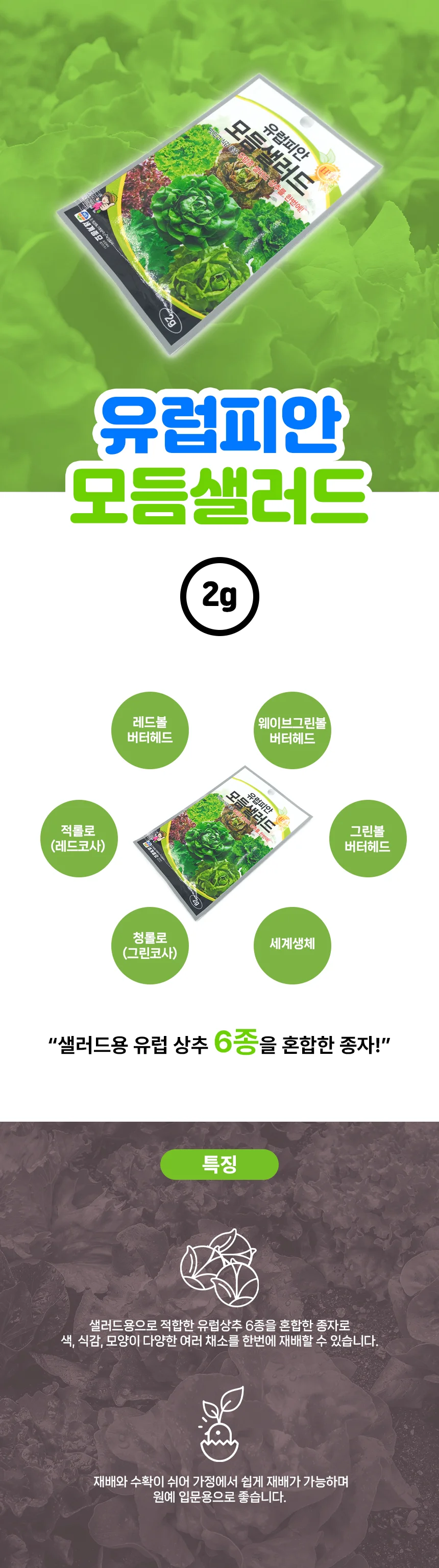 세계 모듬 샐러드 채소 쌈 씨앗 종자 홈가드닝 원예 상세2