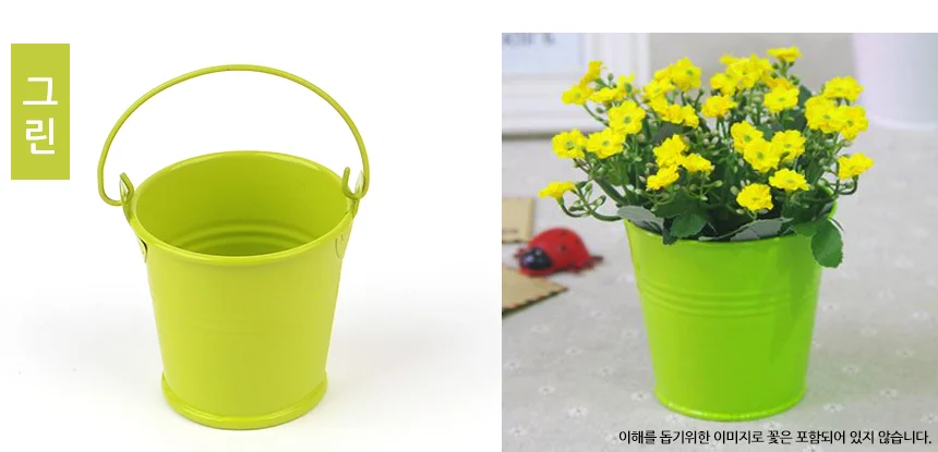 칼라 양철 미니 화분 양철통화분 식탁화분 인테리어조화화분 상세5