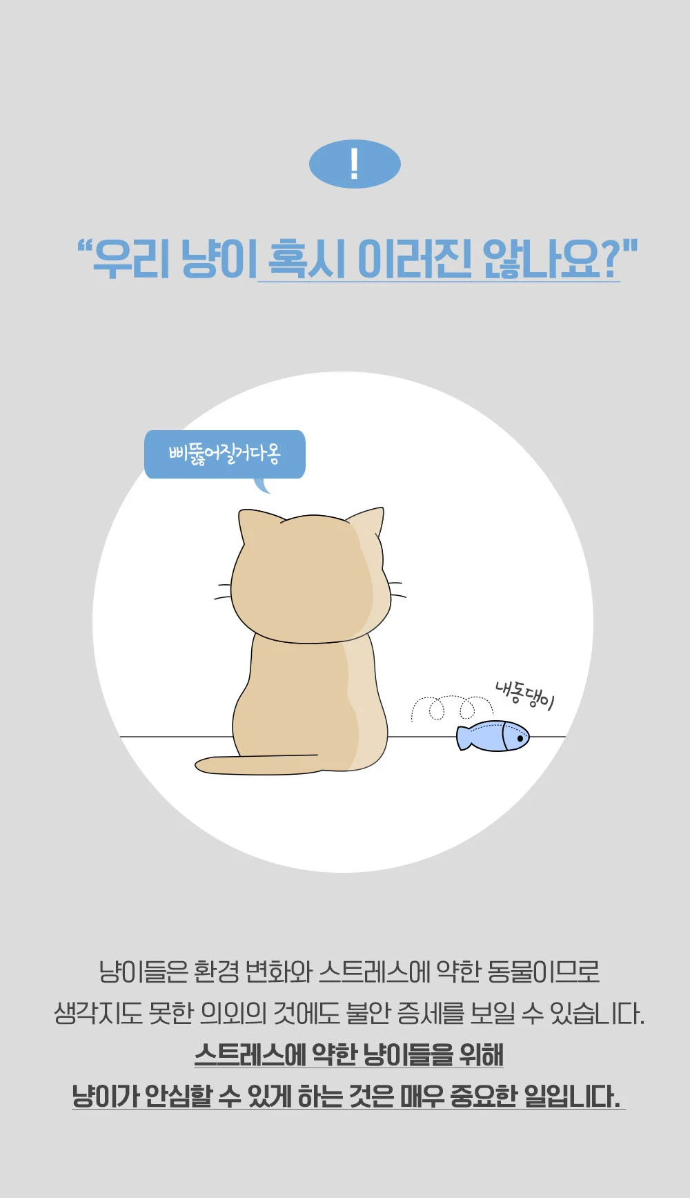 뚜또가또 고양이 마따따비 스틱 10개입 상세4