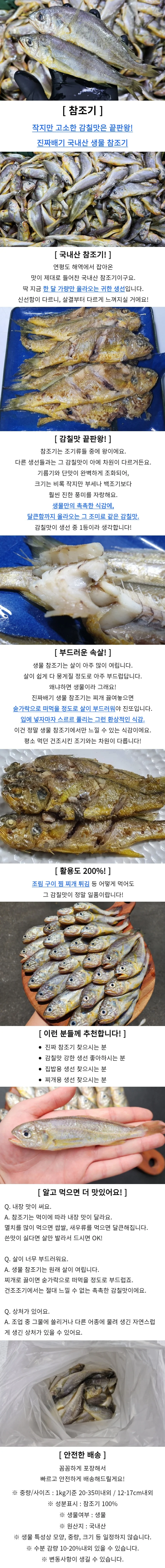 참조기 1kg 생선구이 생물참조기 참조기굴비 상세1