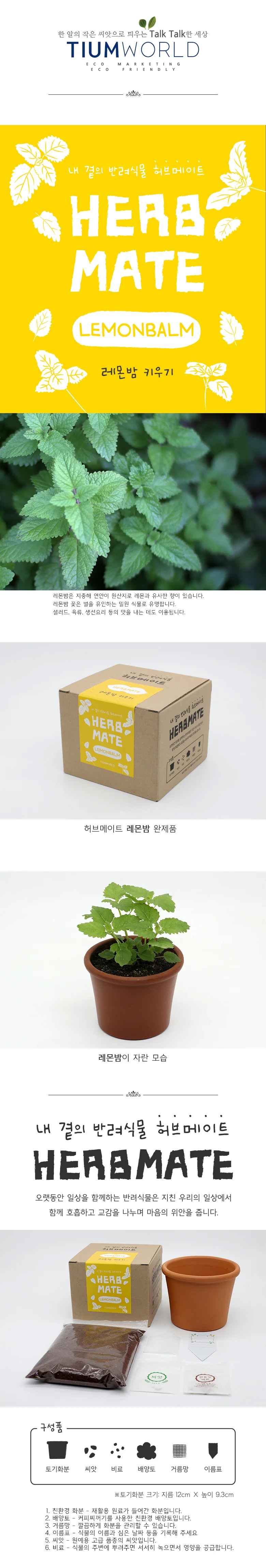 허브 레몬밤 박스 허브키트 허브씨앗 키우기쉬운식물 레몬밤키우기 상세1