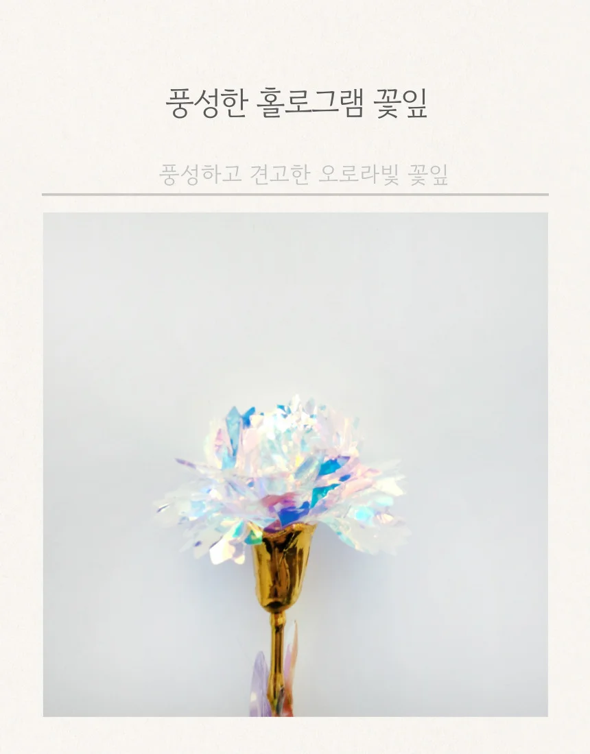 카네이션 조화 오로라 어버이날 스승의날 행사 선물 상세4