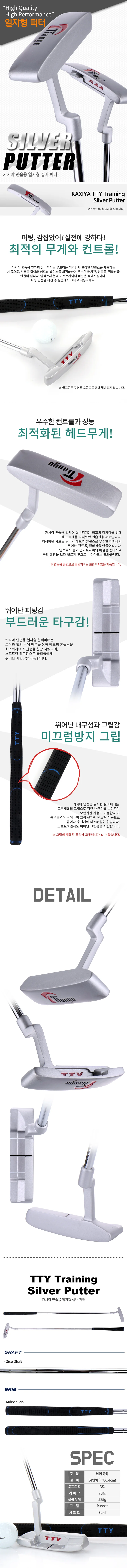 골프 골프 퍼터 연습기 트레이닝 퍼터 연습채 일자형 상세2