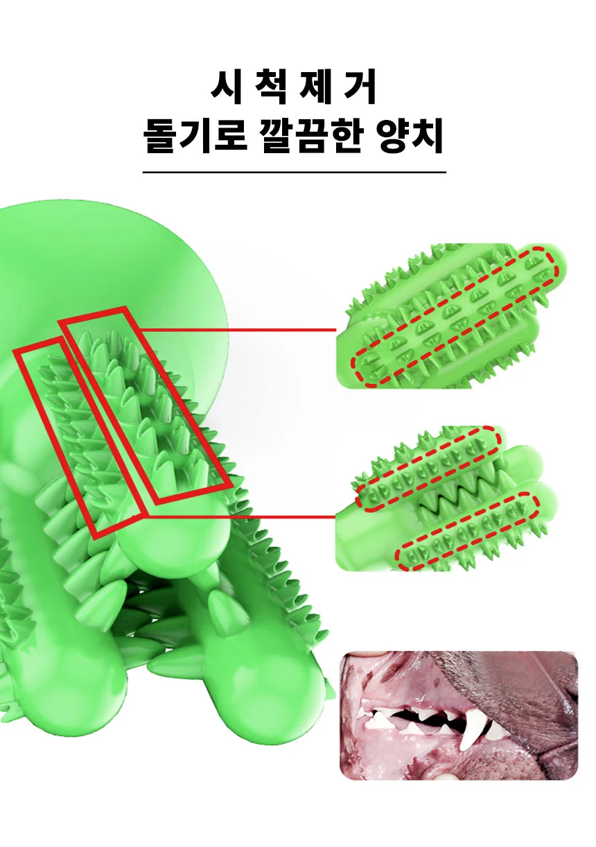강아지 선인장 셀프 칫솔 양치 치석제거 장난감 상세5