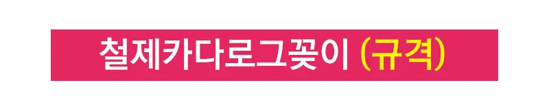 삼화 카다로그 스탠드 잡지 꽂이 거치대 2열 4단 A4 상세4