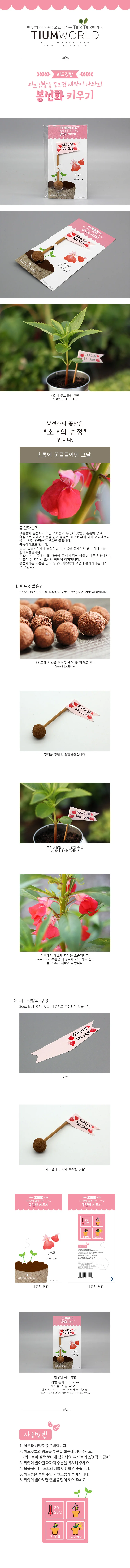 씨앗깃발 봉선화 원예수업 꽃키우기 씨앗키우기 원예키트 상세1