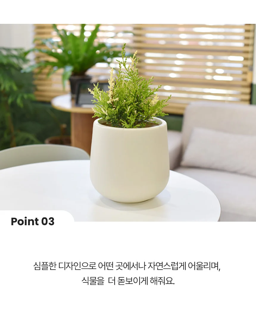 조이팟 플라스틱 화분 상세3
