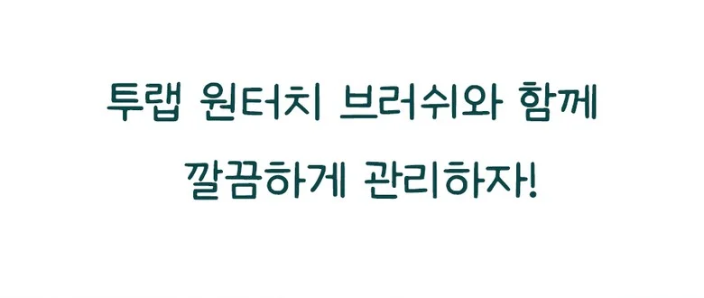 펫브러쉬 애견전용 펫스타일러 강아지빗 상세3