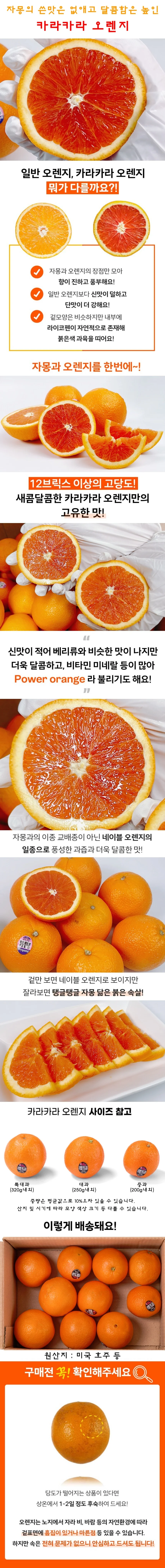 카라카라 오렌지 대과 10개 상세1