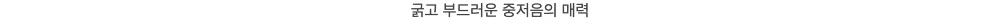 엔젤 테너 리코더 TN 상세4