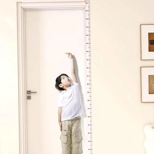 키재기스티커 200cm 키재기눈금자 키재기시트지