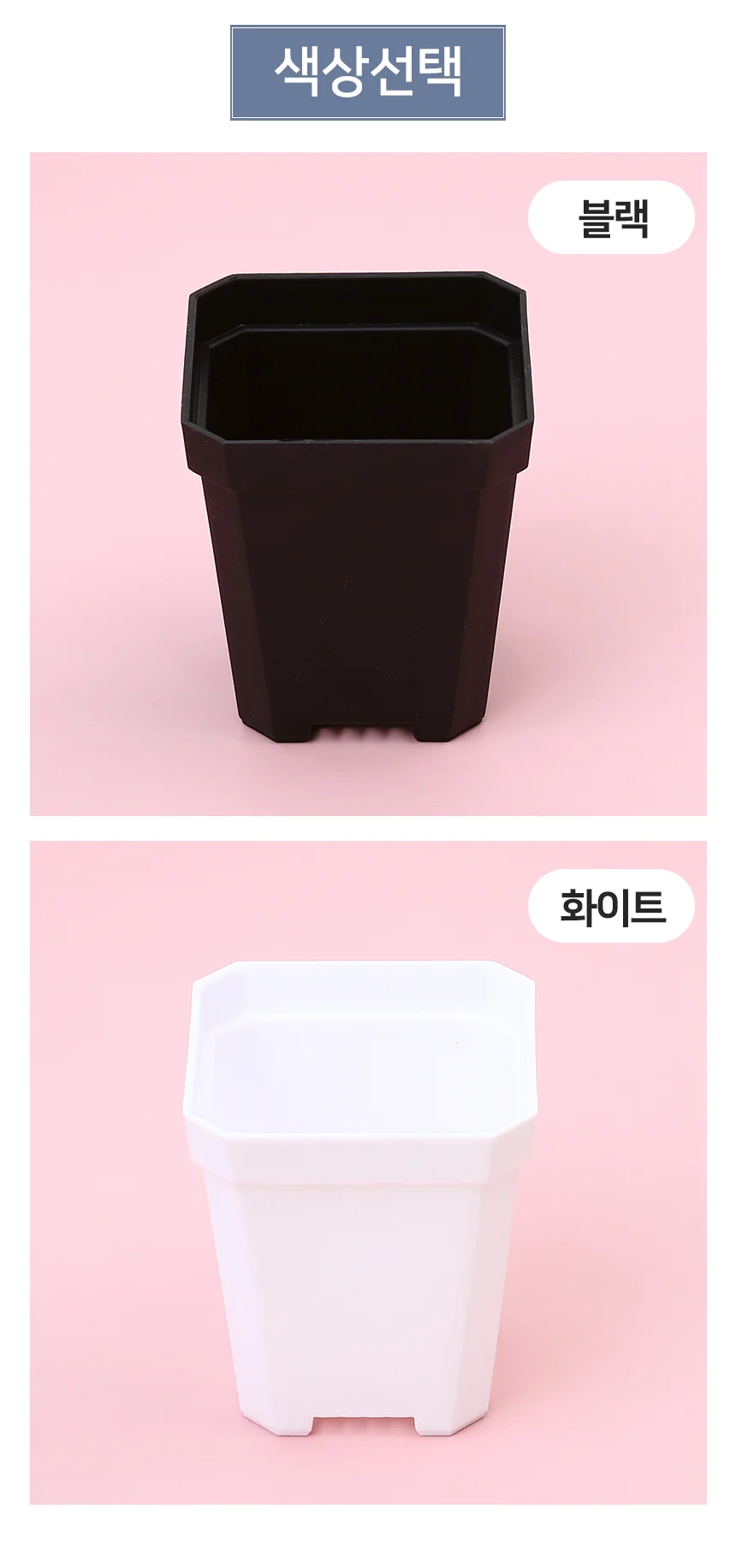 미니 화분 미니다육이화분 미니다육화분 다육이화분 상세3