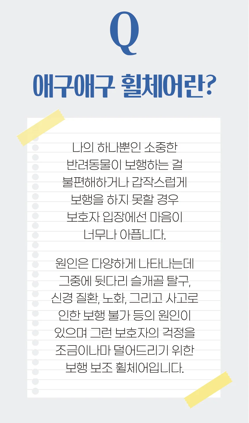 애구애구 강아지 휠체어 보행기 2륜 상세4