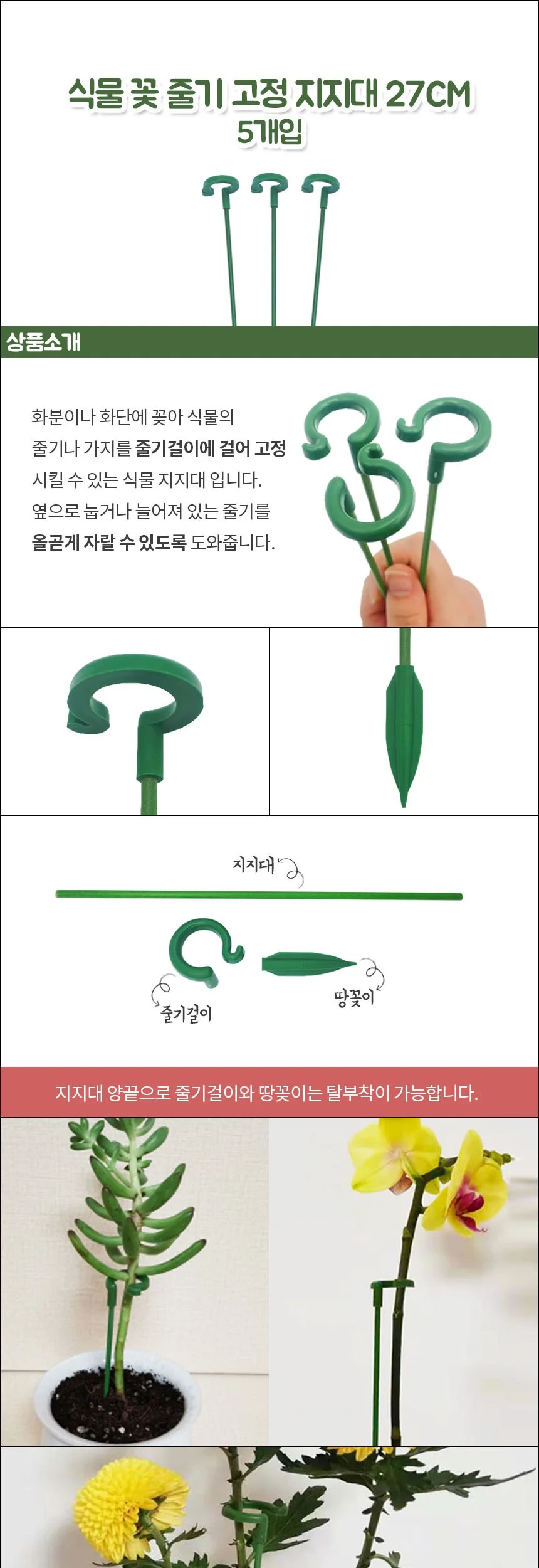 식물 꽃 줄기 고정 지지대 27cm 5개입 상세2