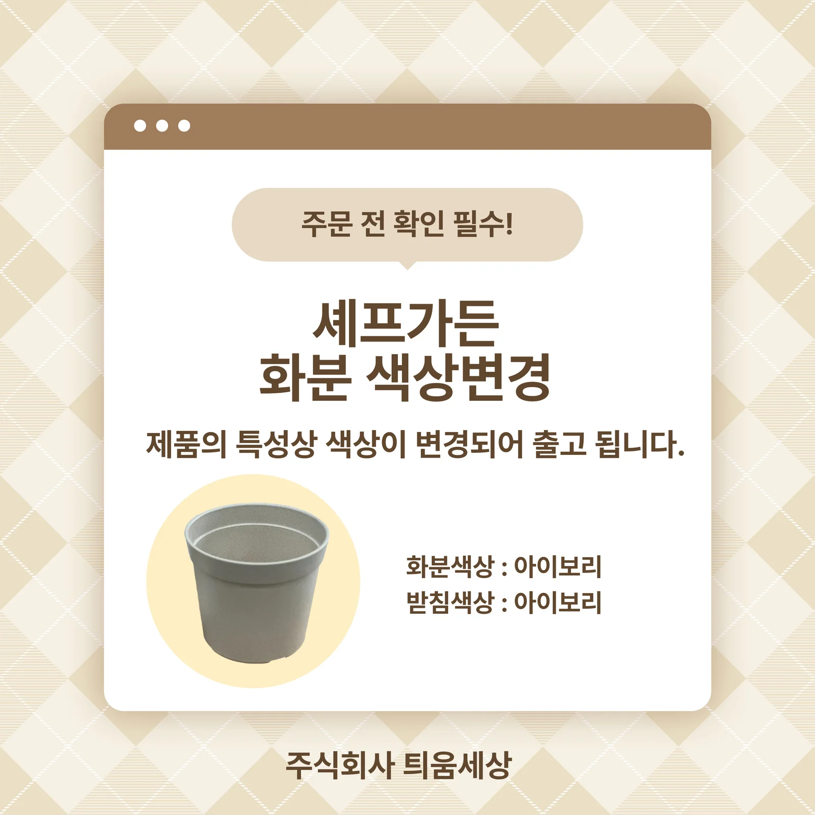 쑥갓키우기 씨앗화분 학교텃밭 베란다채소밭 씨앗키트 상세1