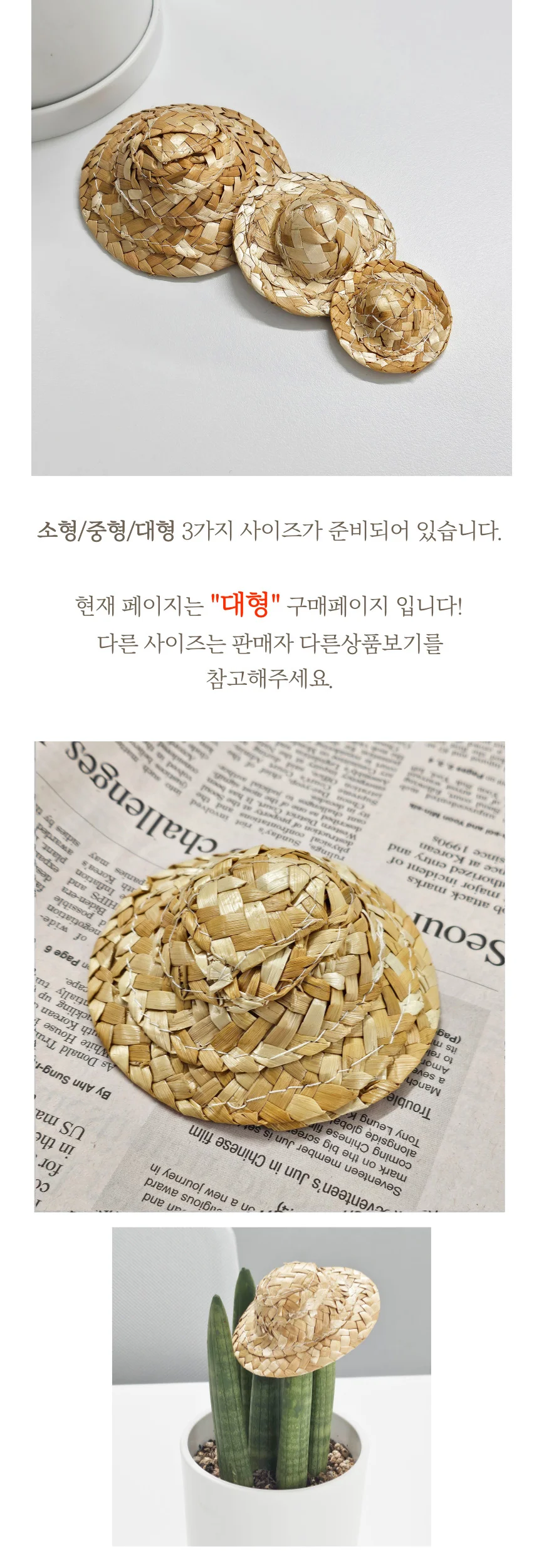 피규어 인형 선인장 스투키 장식 미니 밀짚모자 대형 상세5