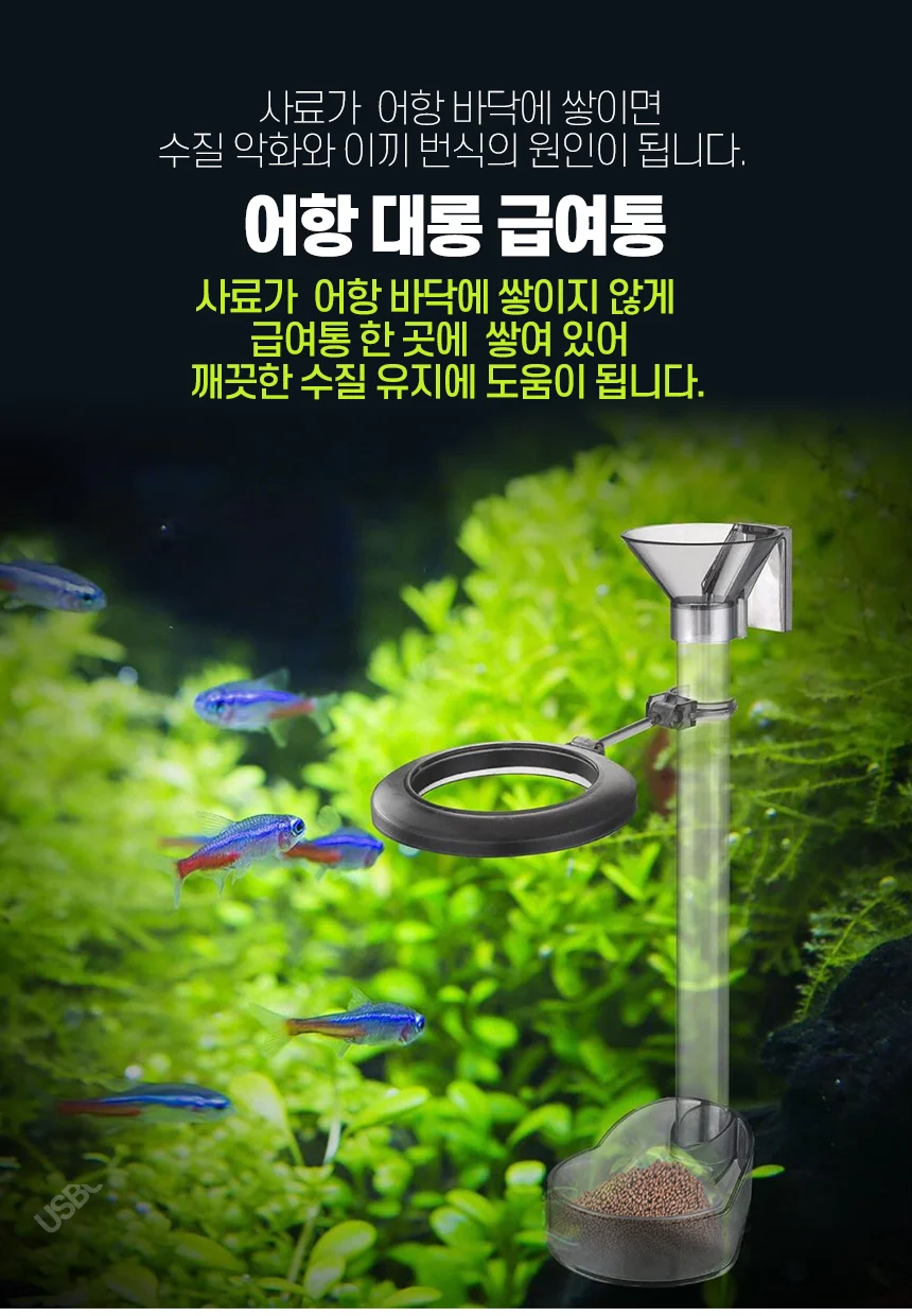 어항 대롱급 여기 상세1