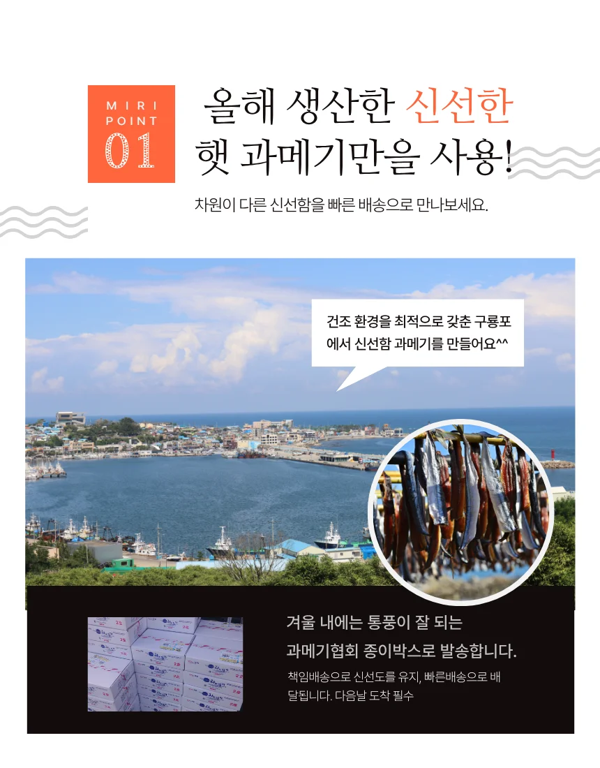 (꽁치)손질과메기 5미10쪽 야채포함혼술세트 상세5