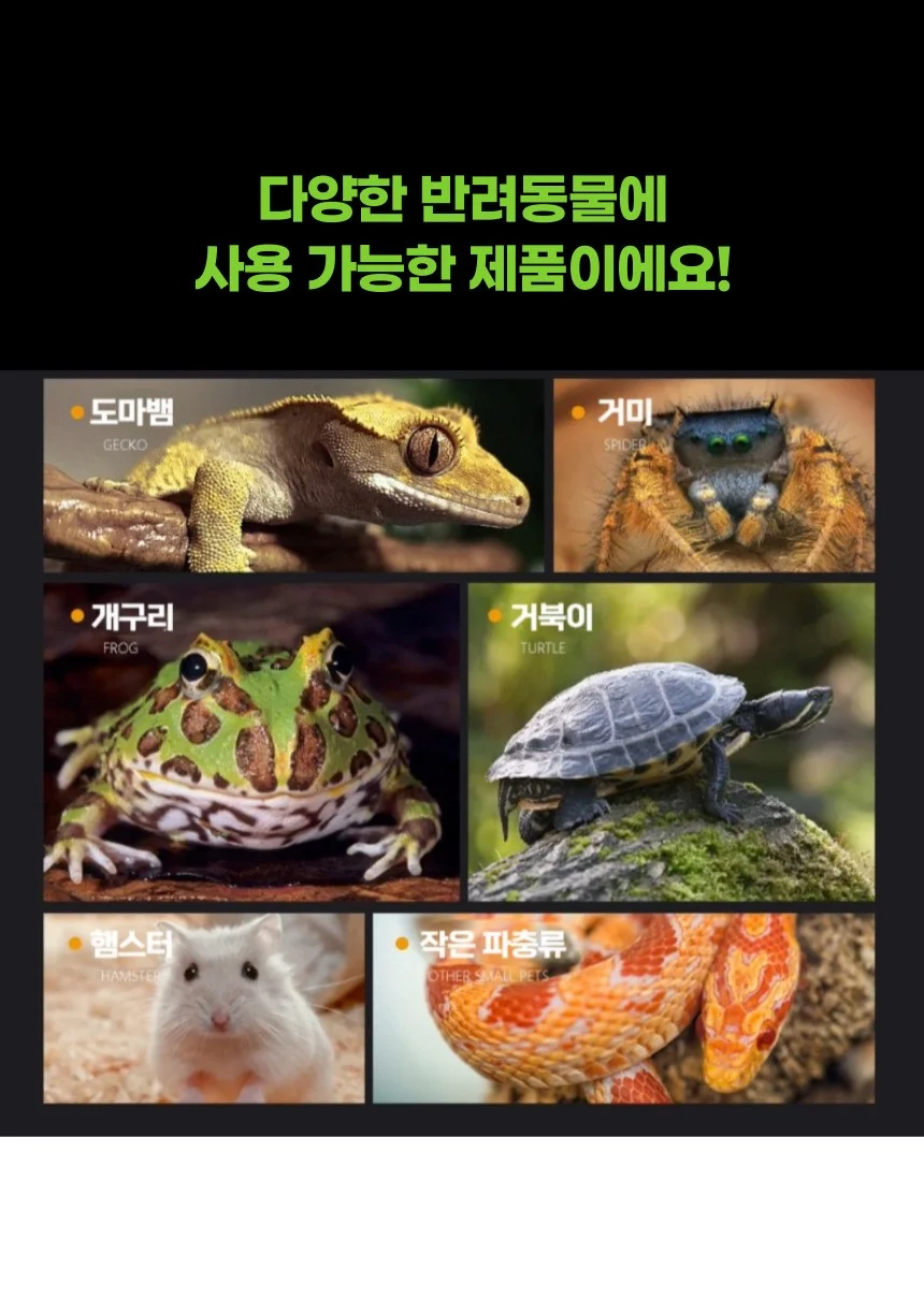 파충류 사육장 꾸미기 몬스테라 알보 인조 나뭇잎 2종 상세3
