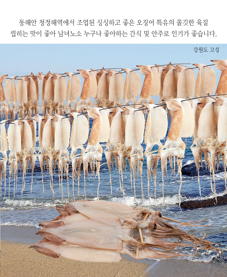 반건오징어 10마리(특) 상세3