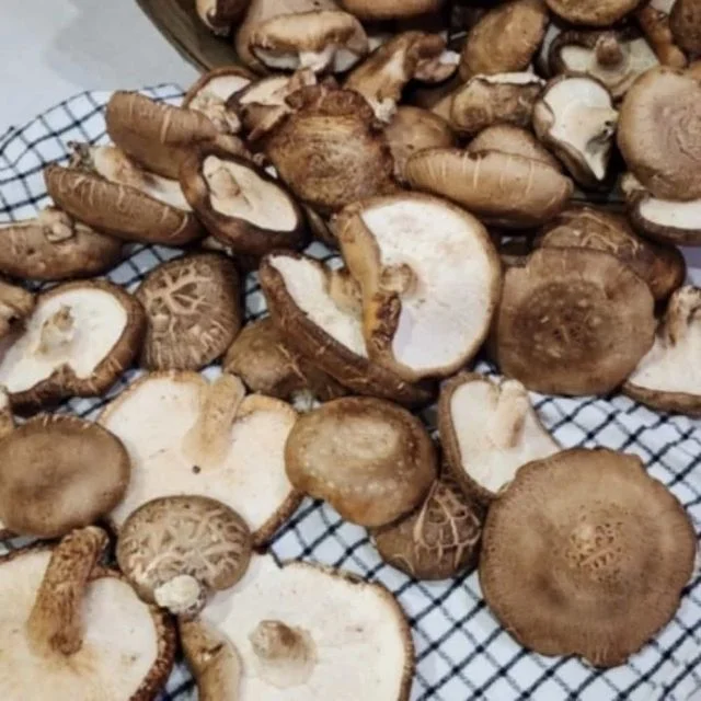 못난이 표고버섯 2kg